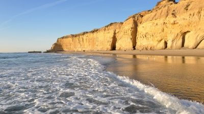 things to do in san diego ca for adults
